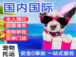 遥墙航空货运国际宠物托运 【国